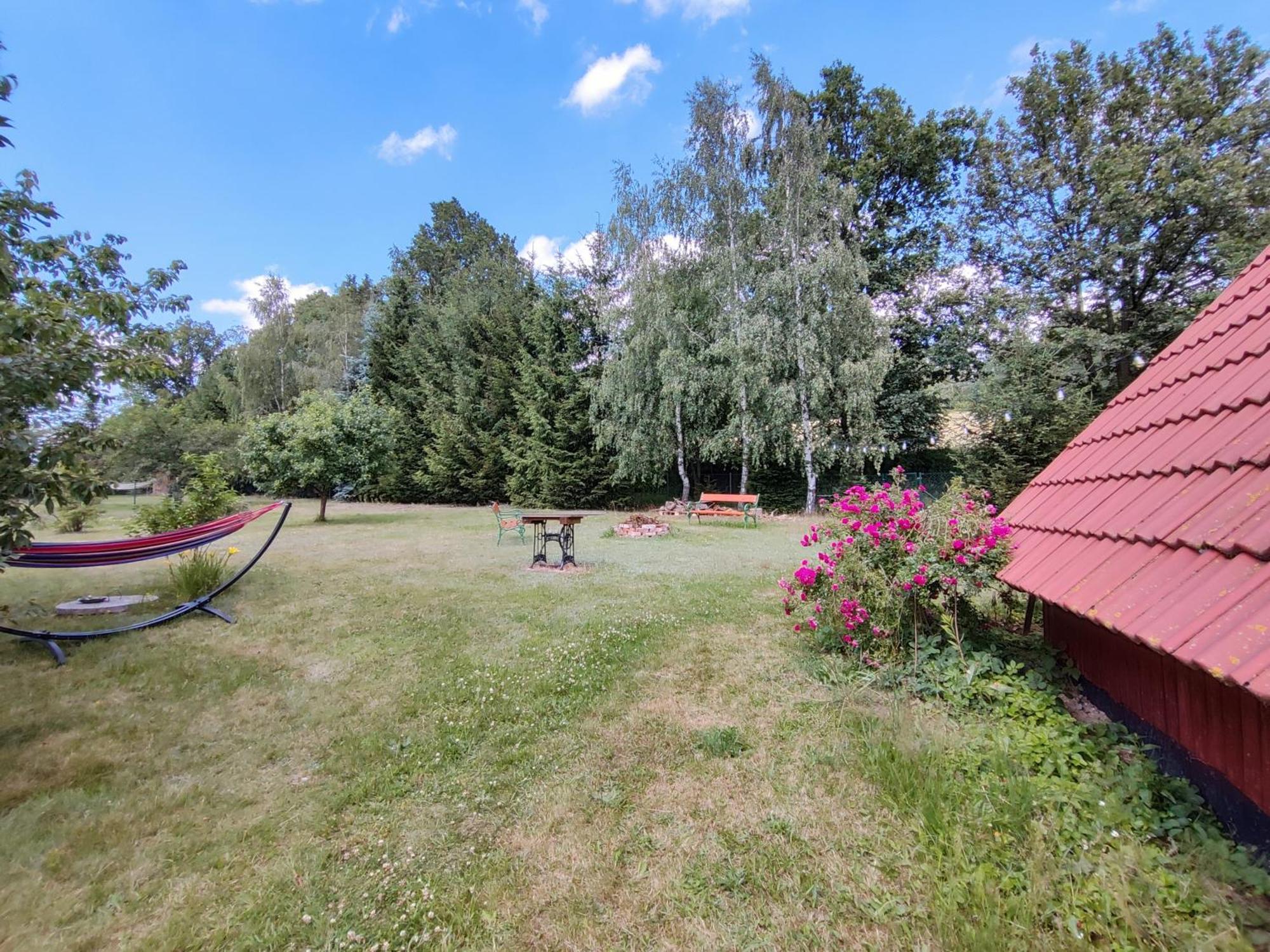 Apartament Izerskie Gaje Wojcieszyce Exterior foto